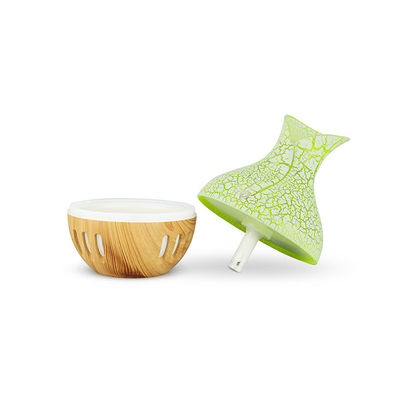 De Injectie van PDF Plastic het Vormen de Industrieauto Mini Humidifier With USB
