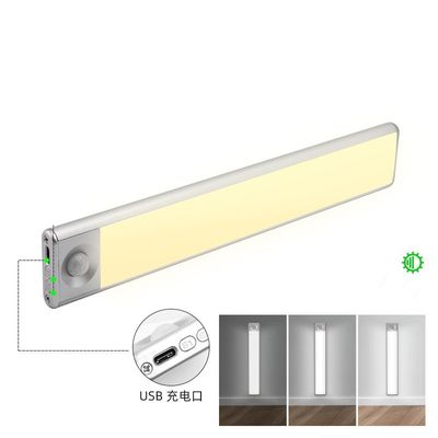 0.01mm Plastic Injectie het Vormen Intelligent de Nachtlicht van de Menselijk Lichaamsinductie